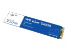 WESTERN DIGITAL Western Digital WD Blue SA510 SSD 250GB M.2 SATA III WDS250G3B0B