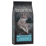 Ekonomipack: 2 påsar Briantos till lågpris! Grain Free Lax & potatis (2 x 12 kg)