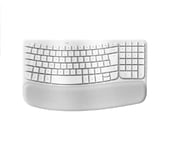 Logitech Wave Keys for Mac, Clavier Ergonomique sans Fil avec Repose-Poignets rembourré, Frappe Naturelle et Confortable, Clavier Bluetooth, Easy-Switch, optimisé pour Mac, Apple, iPad, QWERTY