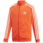 Veste enfant adidas  SUPERSTAR