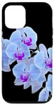 Coque pour iPhone 12/12 Pro Magnifique orchidée bleue Phalaenopsis en forme de mania