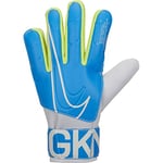 NIKE GK MATCH-FA19 Men's Gloves Size 10