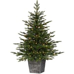 WeRChristmas Pre-Lit Grand Fir Potted Christmas Tree, 100 Warm White LED Lights, Green, 4 ft / 120 cm