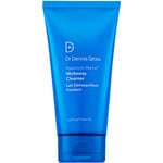 Dr Dennis Gross Hyaluronic Marine Meltaway Cleanser