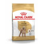 Royal Canin Poodle Adult