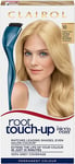 Clairol Nice'n Easy Root Touch-Up 10 Extra Light Blonde Permanent Hair Dye