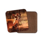 Kangaroo Drinks Coaster - Australia Wild Animal Cool Bush Roo Fun Gift #8528