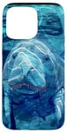 Coque pour iPhone 15 Pro Max Save The Manatee Crystal River FL Bleu abstrait rayé