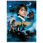 Harry Potter -palapeli Harry Potter ja velhon kivi -elokuvajuliste