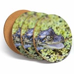 4 Set - Baby Alligator Swamp Wild Coasters - Kitchen Drinks Coaster Gift #2324