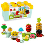 LEGO 10984 DUPLO My First Organic Garden Brick Box, Stacking Toys fo (US IMPORT)