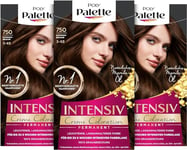 Palette Crème Intensive Coloration 3-65/750 Châtain Chocolat Niveau 3 (3 x 115 ml) Coloration Permanente Jusqu'à 8 semaines de brillance intense et couverture à 100% des cheveux blancs