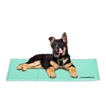 Relaxdays Self Dog Mat, 50 x 90 cm, Wipeable, Gel Pad, Cooling for Animals, Turquoise, Polyester