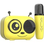 Kit karaoke / Enceinte Bluetooth et micro sans fil - CGV - MAYA, Effets voix ...