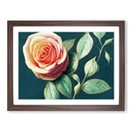 Super Rose Flower H1022 BLK Framed Print for Living Room Bedroom Home Office Décor, Wall Art Picture Ready to Hang, Walnut A3 Frame (46 x 34 cm)