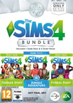 Pc The Sims 4 Bundle Pack 11