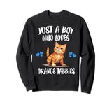 Just A Boy Who Loves Orange Tabbies Cat Sweatshirt