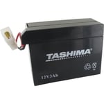 Batterie motoculture FBT19 12V 3Ah-Tashima