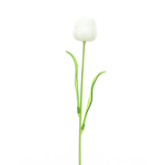 Europalms Crystal tulip, white 61cm 12x