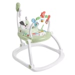 Fisher-Price Baby Bouncer SpaceSaver Jumperoo Activity Center Lights Sounds