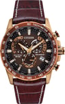 Citizen Perpetual Chrono A.T Eco Drive Mens