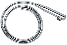 GROHE Douchette Extractible, Chromé, 46590000 (Import Allemagne)