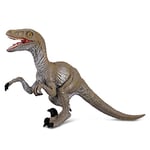 Collecta - 3388034 - Figurine - Dinosaure - Préhistoire - Velociraptor