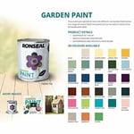 Ronseal RSLGPCG250 Garden Paint Charcoal, Grey, 250 ml