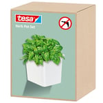 Tesa Accessoires de Cuisine Pot à Herbes Aromatiques - Porte Plantes Mural Adhésif pour Herbes Fraîches dans la Cuisine - Montage Mural avec Adaptateur, sans Perçage - Blanc