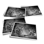 4x Rectangle Stickers - BW - Caracal African Lynx Cat #38979