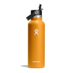 Hydro Flask - Water Bottle 621 ml (21 oz) - Vacuum Insulated Stainless Steel Water Bottle with Flex Straw Cap - BPA-Free - Standard Mouth - Fossil