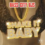 Bass City Djs  Shake It Baby  CD