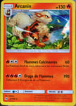 Carte Pokémon 22/149 Arcanin 130 Pv - Holo Sm1 - Soleil Et Lune Neuf Fr