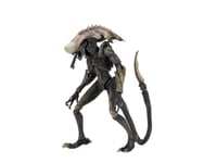 Figurine - Alien vs Predator - Chrysalis Alien - 18 cm - NECA