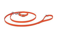 Francisco Romero 8436586342210 Pack Collier Beta Y Sangle, 1,6 x 40 cm, Orange Fluo