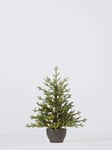 John Lewis Cotswold Potted Pre-lit Christmas Tree, 3ft