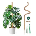 Mcbazel Tuteur Plante Grimpante Coco sur Piquet de Plante 120cm, Support Plante Tuteur de Coco Largeur de 7mm Pliable Poteau de Croissance de Plantes Grimpantes pour Plante Monstera/Jardin Domestique