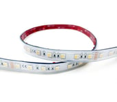 LED strip 5m RGBW 19,2W IP65 24V