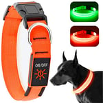 KOSKILL Light Up Dog Collar, Led Dog Collar Usb Rechargeable Waterproof, Flashing Dog Collars For Dark, Illuminated Dog Collars, Glowing In The Dark Dog Collar Lights For Dogs Night Walking Orange M