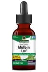 Nature's Answer - Mullein Leaf (30 ml)