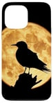 Coque pour iPhone 13 Pro Max Silhouette de Sterne à ailes blanches Pleine Lune Oiseau Art