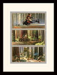 Star Wars (Action on Endor's Moon 30 x 40 cm Objet Souvenir