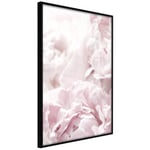 Plakat - Fluffy Peonies - 40 x 60 cm - Sort ramme