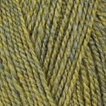 Stylecraft Highland Heathers 3017228 Pelote de laine DK Lichen (7228) 100 g