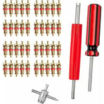 Swyeoot - Démonte obus de Valve Outil de Reparation/Outils pour Valves de Pneus Valve Core Remover avec 40 pcs Valve Core pour Voiture Remplacement