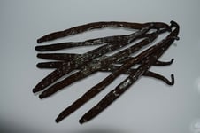 10 Bourbon Vanilla Pods Madagascar Beans Grade A 15-17 Cm 2020 Organic