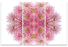 The Art Group Pink Chrysanthemum Explosion Alyson Fennell Canvas Print, Wood, Multi-Colour, 10 x 150 x 1.3 cm