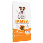 Ekonomipack: 2 x 12 kg IAMS for Vitality Dog Senior and Mature Chicken (2 x 12 kg)