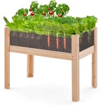 Jardinière Surélevée en Bois sur Pieds 50 l, Lit de Jardin avec Trous de Drainage Panneaux Acryliques Transparent Hauteur Adaptée, pour Légumes