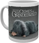 Fantastic Beasts 2 - Einstein Mug - Harry Potter World Gift Idea MERCH - NEW UK